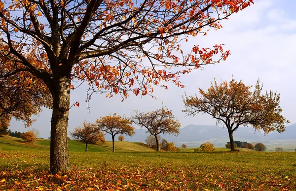 Pintoresca Vista Del Hermoso Paisaje Otoñal — Foto de Stock