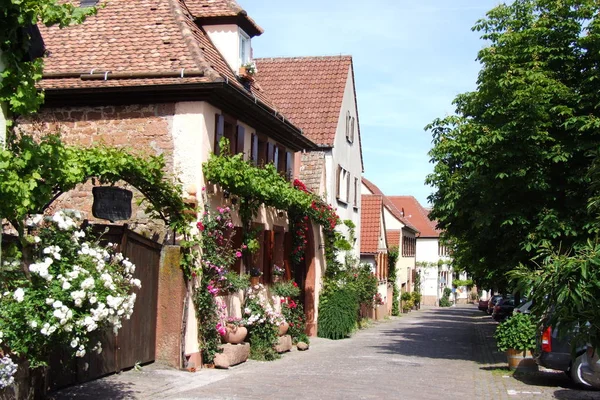 Rhodt Unter Rietburg Townscape — Stock fotografie