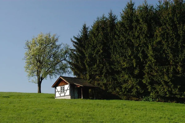 Vista Pittoresca Del Paesaggio Campagna — Foto Stock