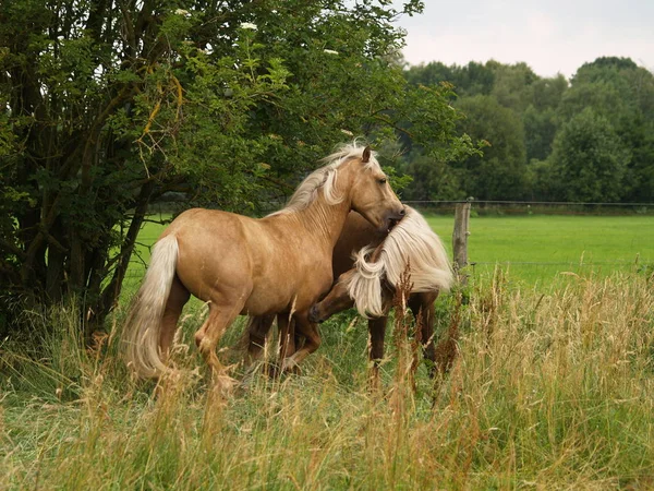 Malerischer Blick Auf Die Outdoor Szene — Stockfoto