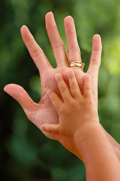 Hand Och Händer — Stockfoto