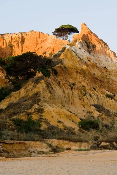 龍のチョーク崖が海に投げ込まれ — ストック写真
