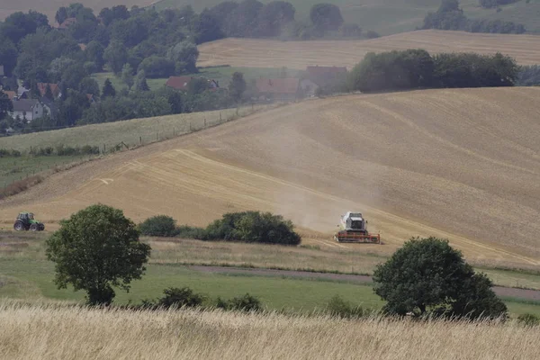 Malerischer Blick Auf Die Natur — Stockfoto