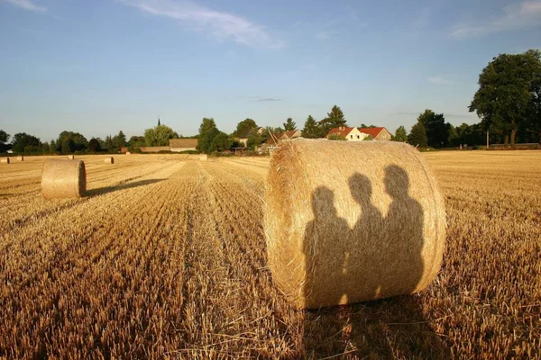 Naturskön Utsikt Över Landsbygden Selektivt Fokus — Stockfoto