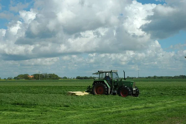 Landschappelijke Visie Landbouw Het Platteland — Stockfoto