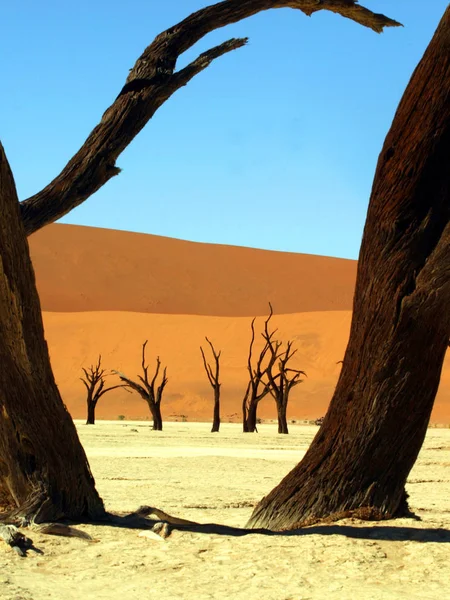 Vue Panoramique Des Dunes Mise Point Sélective — Photo