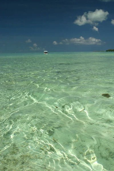 Prachtig Uitzicht Kust — Stockfoto