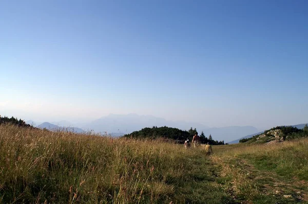 Pittoresk Utsikt Över Naturscenen — Stockfoto