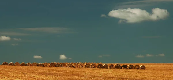 Vista Panorâmica Agricultura Campo — Fotografia de Stock