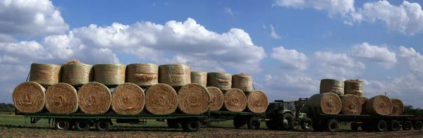 Scenic View Countryside Selective Focus — Stock Photo, Image