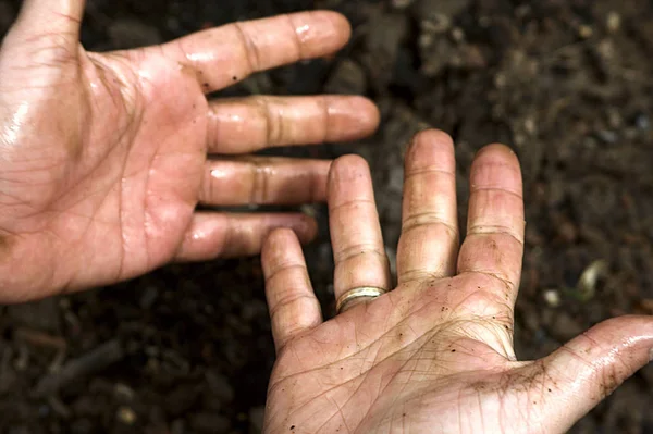 Человеческая Рука Держащая Горсть Почвы — стоковое фото