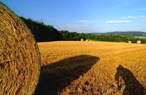 Vista Panorâmica Campo Foco Seletivo — Fotografia de Stock