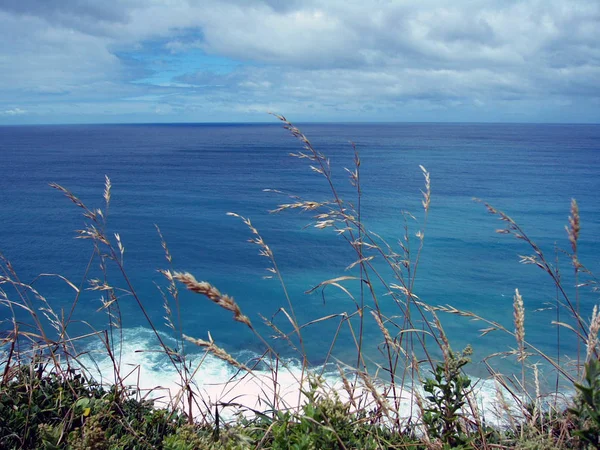 Great Ocean Road Australie Sud 2004 — Photo