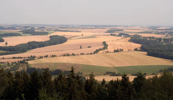 Ländliche Landwirtschaft Feldlandschaft — Stockfoto