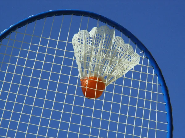 Badminton Actief Spel Sport — Stockfoto