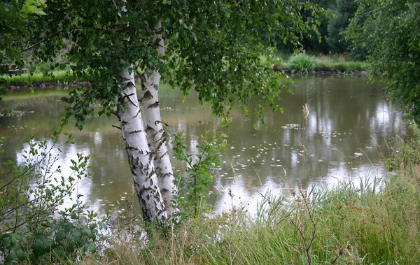 Beau Lac Été — Photo