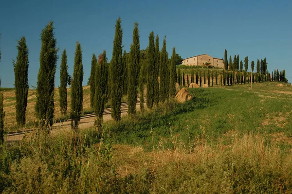 Scenic View Countryside Selective Focus — Stock Photo, Image