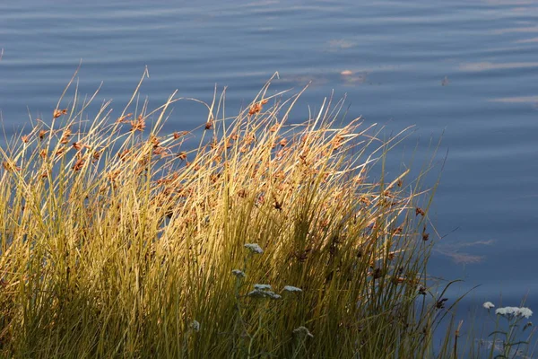 Prachtig Uitzicht Natuur Scene — Stockfoto