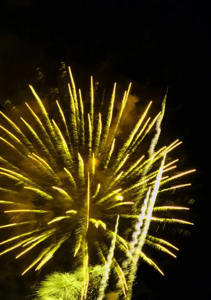 Fuegos Artificiales Colores Brillantes Cielo — Foto de Stock