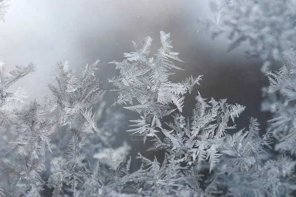 Frost Pattern Cold Winter — Stock Photo, Image