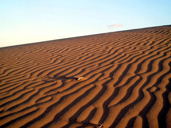 Las Dunas Maspalomas Una Experiencia Única Gran Canaria Liked Sand —  Fotos de Stock