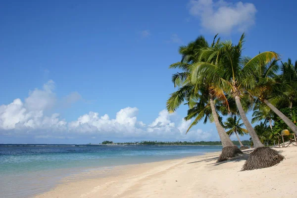 Playa Samoa Occidental —  Fotos de Stock