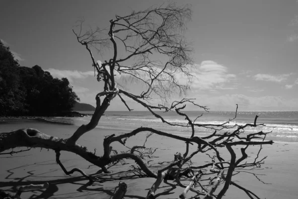 Tropische Stranden Het Noorden Van Queensland Australië Diafragma Blootstellingstijd 200 — Stockfoto