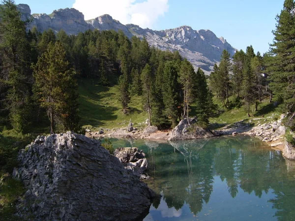 Bella Vista Sulla Natura — Foto Stock