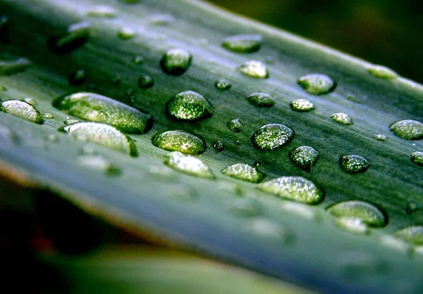 Konzeptionelles Bild Abstrakter Wassertropfen — Stockfoto