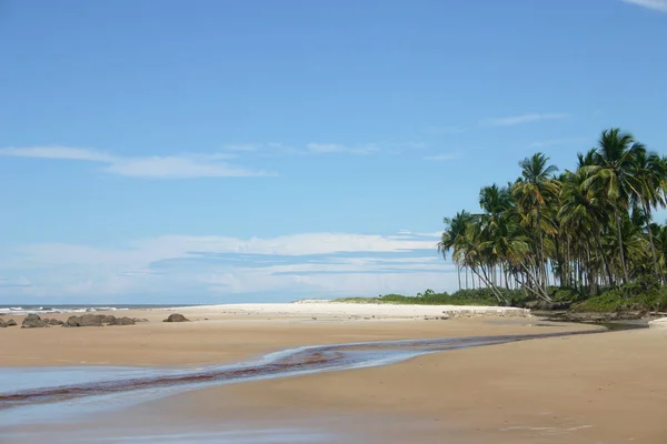 Strand Östkusten Brasilien Nära Olivenca — Stockfoto