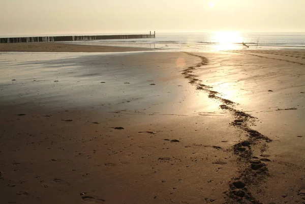 Domburg Sahilinde Gün Batımı — Stok fotoğraf