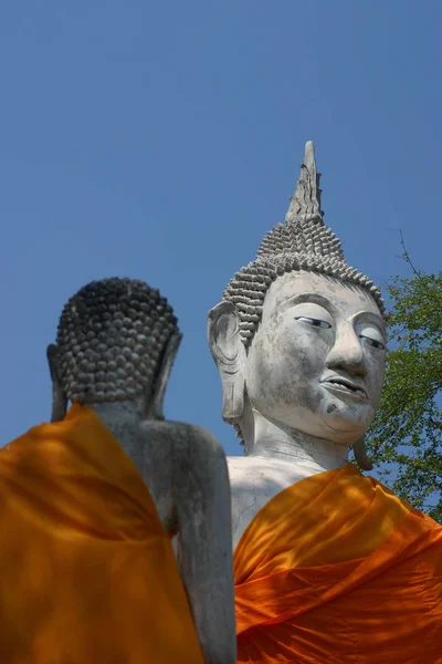 Tayland Ayutthaya Buda Heykeli — Stok fotoğraf
