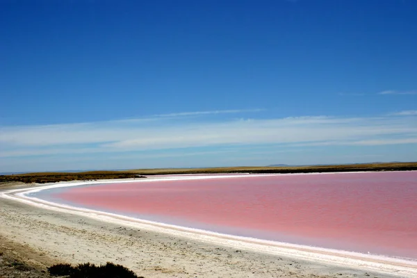 Pink Lake Victoria Australien — Stock Photo, Image