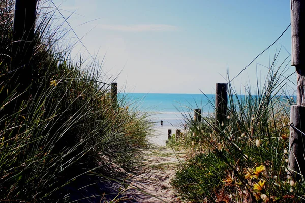 Strand Der Südküste Australiens — Stockfoto