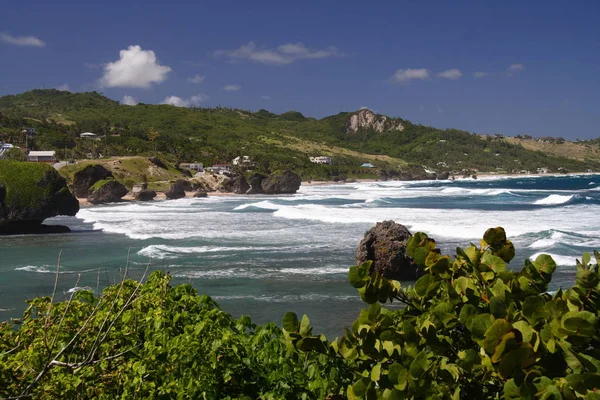 Pintoresca Vista Hermosa Orilla Del Mar — Foto de Stock