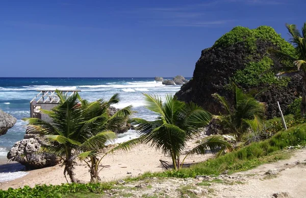 Pintoresca Vista Hermosa Orilla Del Mar — Foto de Stock