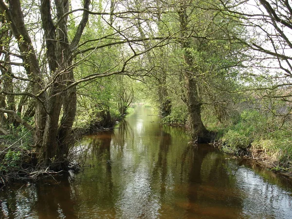 Piękny Widok Scenę Natury — Zdjęcie stockowe