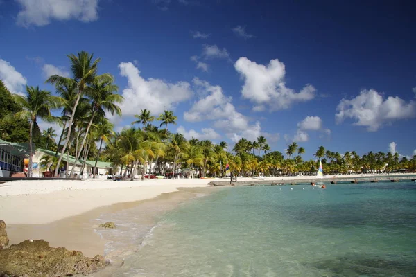 Caraibi Vista Sulla Spiaggia Durante Giorno — Foto Stock