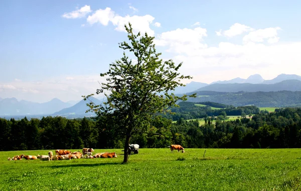 Baviera Maior Estado Alemão Por Área Terra Compreendendo Cerca Quinto — Fotografia de Stock