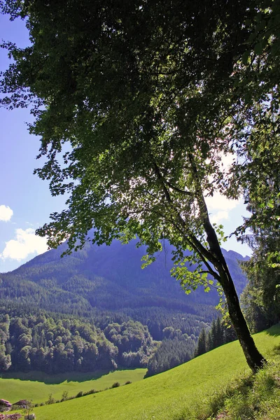 Vista Panoramica Bellissimo Paesaggio Alpino — Foto Stock