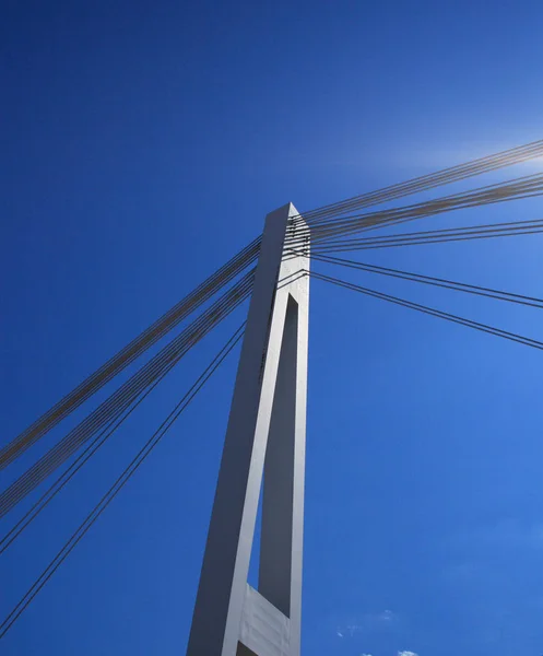 Cavi Acciaio Ponte Nella Zona Portuale Mannheim — Foto Stock