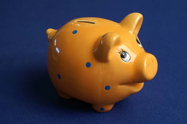 Poupança Dinheiro Piggybank Finanças — Fotografia de Stock