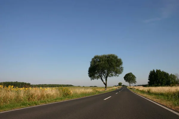 Pittoresk Uitzicht Natuur — Stockfoto