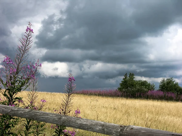 Beautiful Nature Scenic Background — Stock Photo, Image