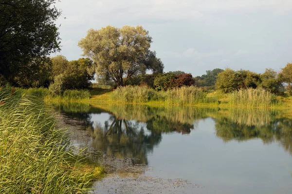 Der Rhein Ist Einer Der Wichtigsten Europäischen Flüsse Der Der — Stockfoto