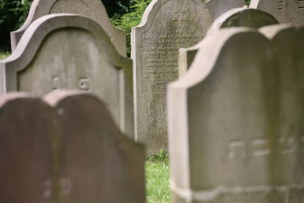 Lapidi Sepolcrali Vecchio Cimitero Ebraico — Foto Stock