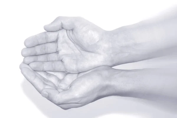 Hands Female Hand Holding White Background — Stock Photo, Image