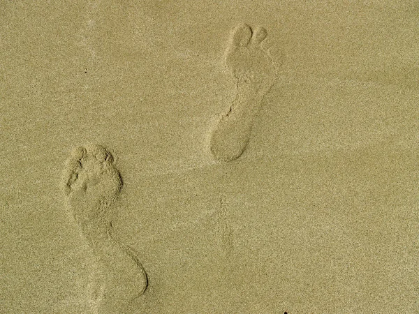 Your Footprints Sand — 스톡 사진