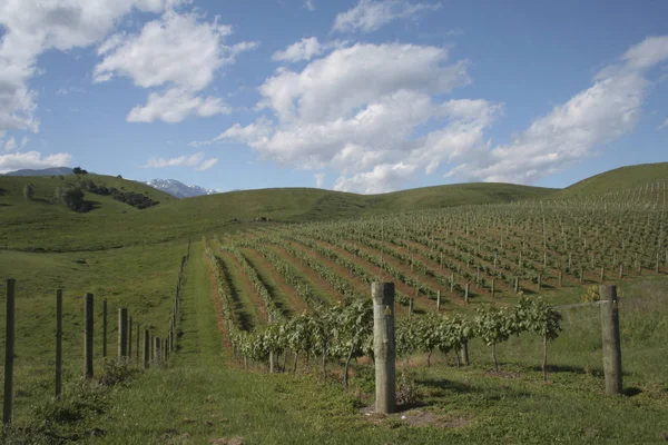 Pittoresk Uitzicht Landschap — Stockfoto