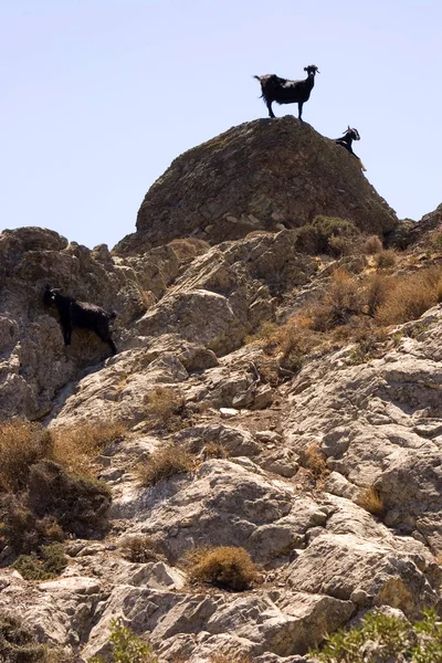 Γραφική Άποψη Της Υπαίθρου Επιλεκτική Εστίαση — Φωτογραφία Αρχείου